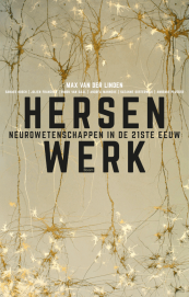 Hersenwerk